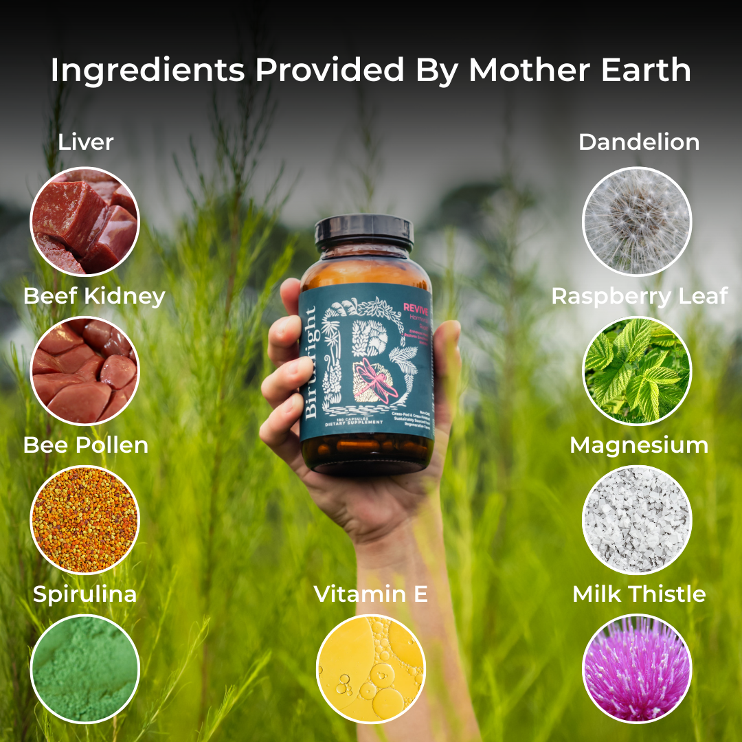 Hand holding Revive bottle with ingredient icons around it: liver, beef kidney, bee pollen, spirulina, vitamin E, dandelion, raspberry leaf, magnesium, milk thistle. Heading: