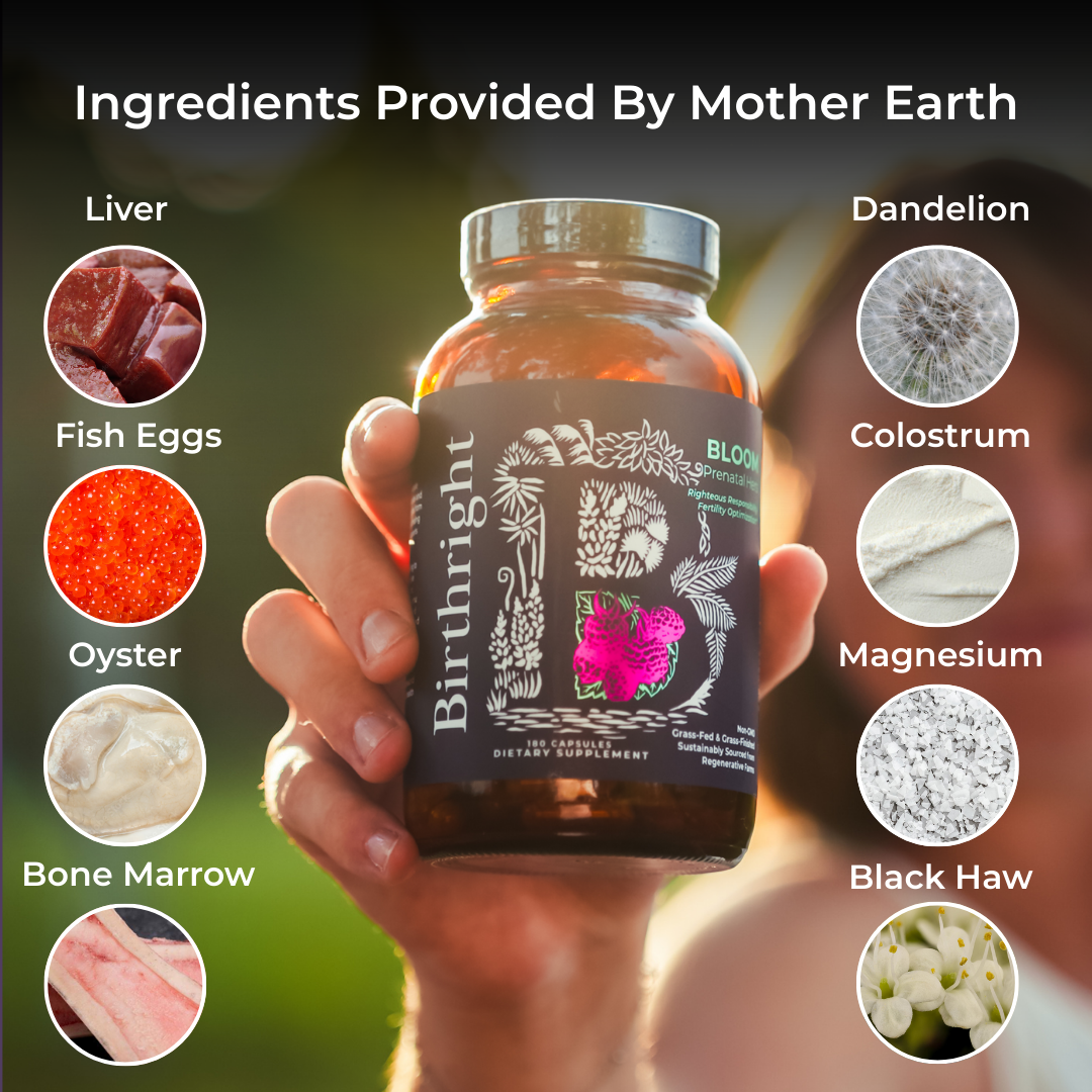 Hand holding Bloom bottle with ingredient icons around it: liver, fish eggs, oyster, bone marrow, dandelion, colostrum, magnesium, black haw. Heading: "Ingredients Provided By Mother Earth".