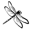 Freeze Dried Icon